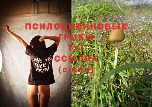 стафф Медвежьегорск