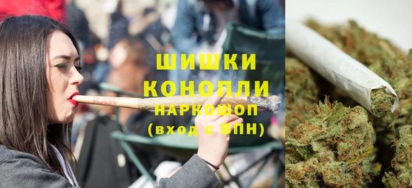 дурь Бикин