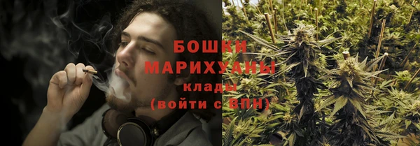 стафф Медногорск