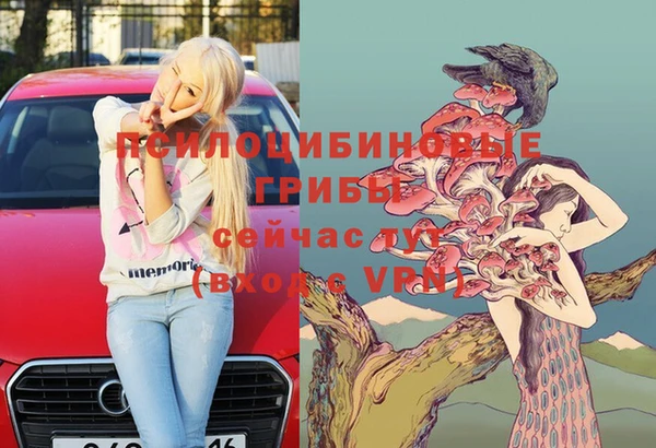 герыч Мегион